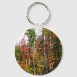 Rückgang der waldfarbenen Herbstfotografie Schlüsselanhänger
