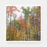 Rückgang der waldfarbenen Herbstfotografie