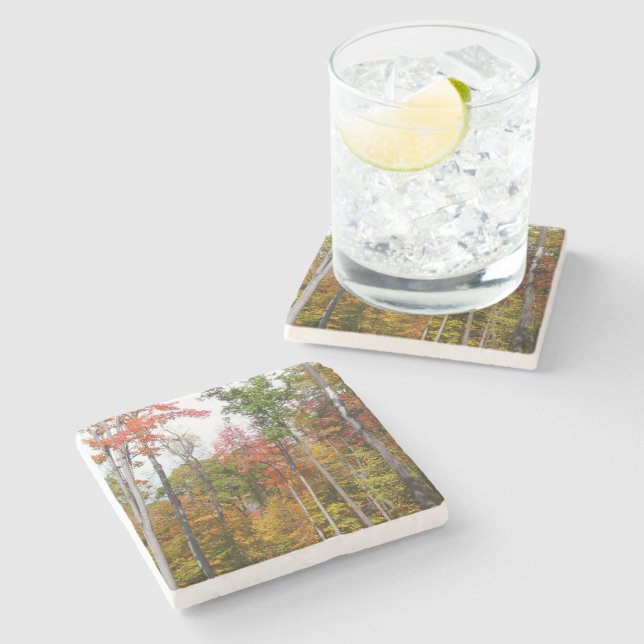 Rückgang der waldfarbenen Herbstfotografie Steinuntersetzer (Seitenansicht)