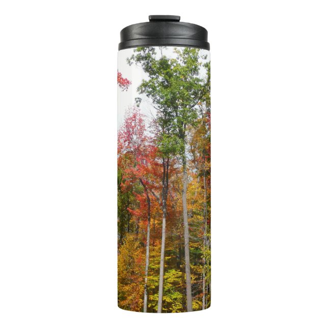Rückgang der waldfarbenen Herbstfotografie Thermosbecher (Vorderseite)