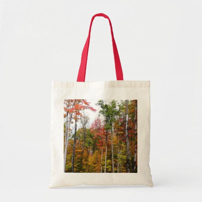 Rückgang der waldfarbenen Herbstfotografie Tragetasche (Vorne)
