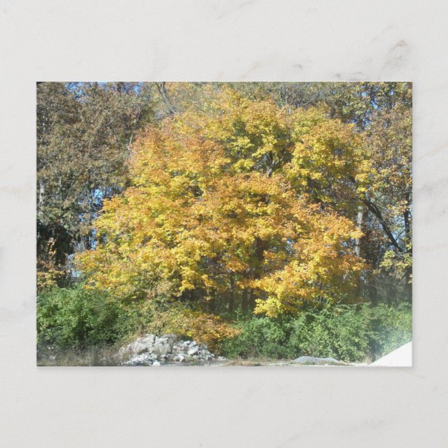 Rückgang im Mittleren Westen Postkarte (Vorderseite)