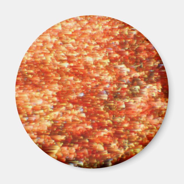 Rückgang Magnet (Vorne)