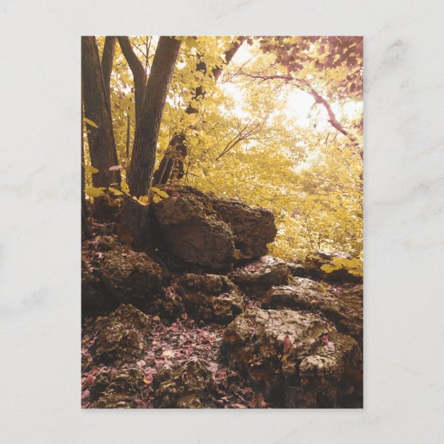 Rückgrat Staat Park Iowa Postkarte (Vorderseite)