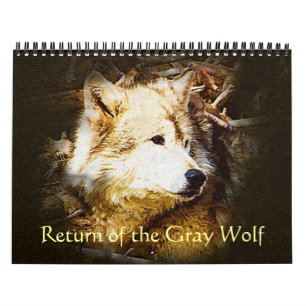 Rückkehr des grauen Wolfs Kalender