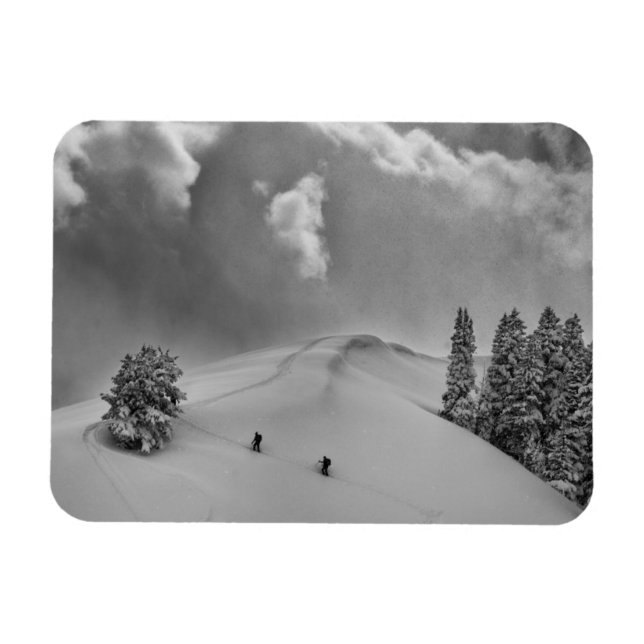 Rückland-Skitonnen in frischem Pulver Magnet (Horizontal)