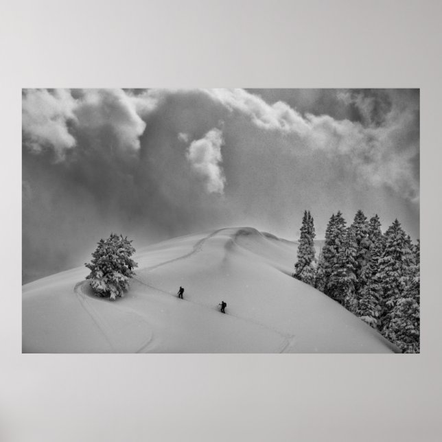Rückland-Skitonnen in frischem Pulver Poster (Vorne)