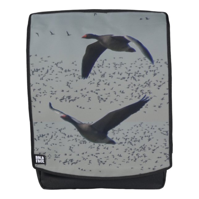 Rucksack für Gänse (Vorderseite)