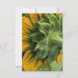 Rückseite der Sonnenblume Mitteilungskarte