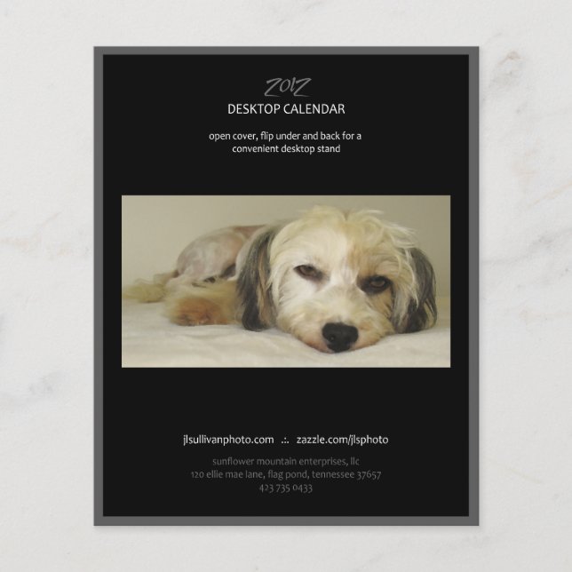 Rückseite des Kalenders 2012 (Vorderseite)