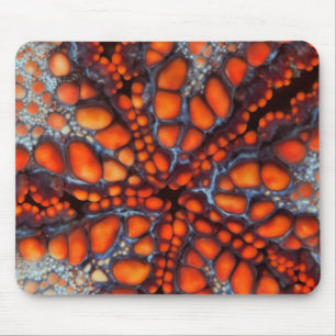 Rückseite des Seesternes Cambodia Mousepad