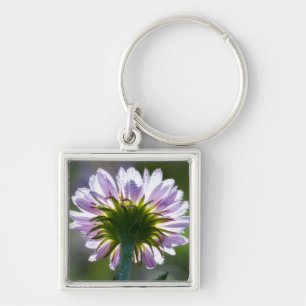 Rückseitig beleuchtete lila Wildblume mit Tautropf Schlüsselanhänger