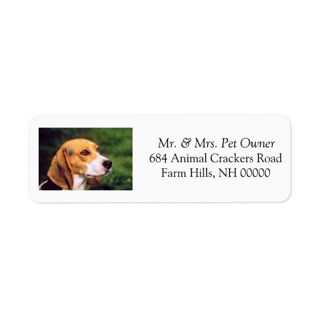 Rücksendeadresse der niedlichen Beagle Mailing Lab (Vorne)