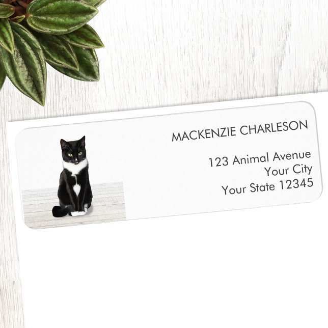 Rücksendeadresse des Fotos (Personalized pet photo custom return address label for animal lovers)