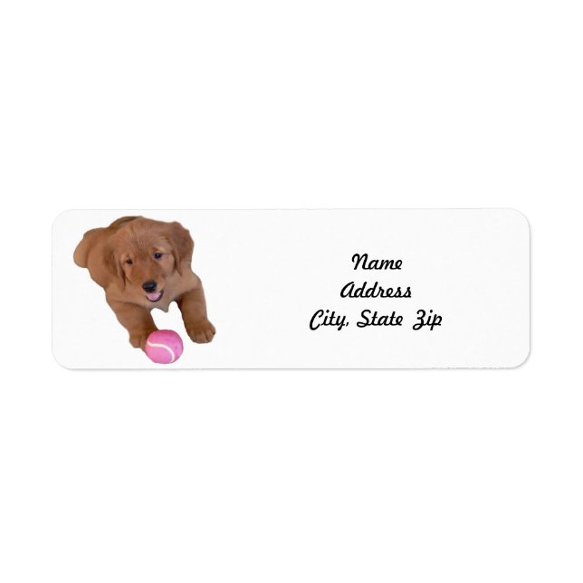 Rücksendeadresse-Etikett, Golden Retriever Puppy (Vorne)
