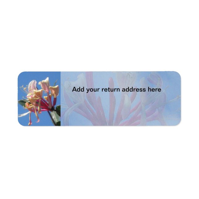 Rücksendeadresse für Honeysuckle (Vorne)