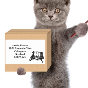 Rücksendeadresse für niedliche Schwarz-Weiß-Katzen Rechteckiger Aufkleber