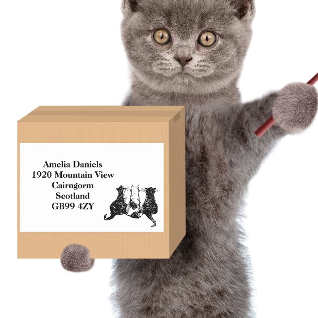 Rücksendeadresse für niedliche Schwarz-Weiß-Katzen Rechteckiger Aufkleber (Von Creator hochgeladen)