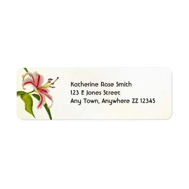 Rücksendeadresse: Stargazer Lily Floral Fotografy (Vorne)