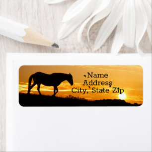 Rücksendeadresse von Pferden und Vögeln