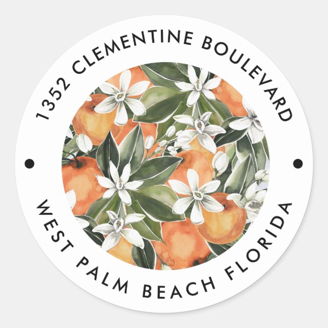 Rücksendeadresse Wasserfarbe Orange Clementine Runder Aufkleber (Vorderseite)