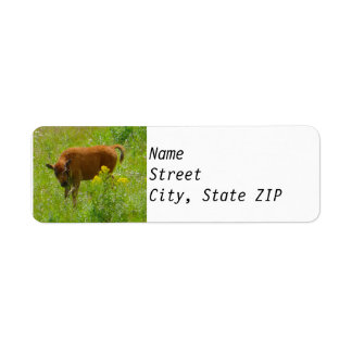 Rücksendeadressen-Aufkleber - Bison Calf Yellowsto