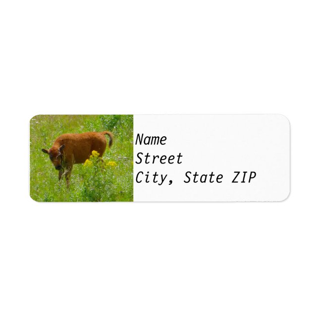 Rücksendeadressen-Aufkleber - Bison Calf Yellowsto (Vorne)