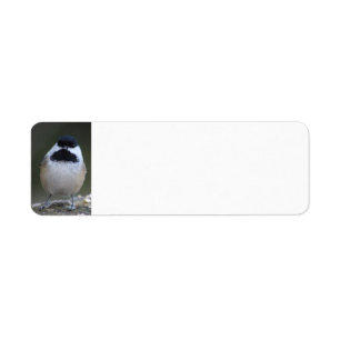Rücksendekennzeichen für Chickadee