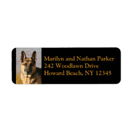 Rücksendesiegel für den Hundehund