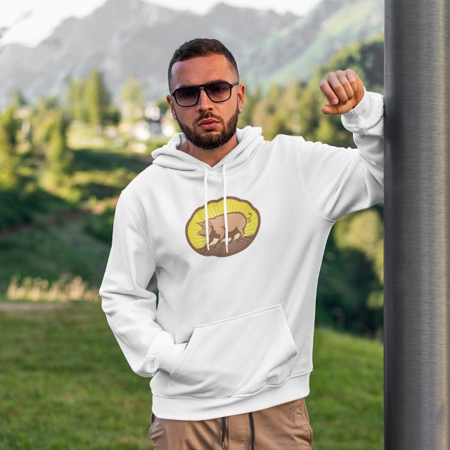 Rückwärtsschweif mit Sunburst Hoodie (Von Creator hochgeladen)