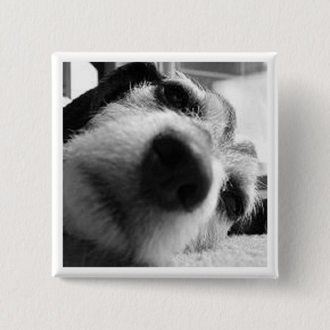 Rückwirkende Abdeckung Button (Vorderseite)