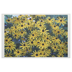 Rudbeckia Black Mit Augen Susans Full Foto Stoff