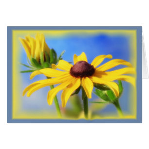 Rudbeckia-Blues - Vignette