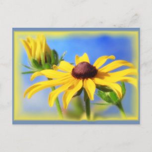 Rudbeckia Blues - Vignette Postkarte