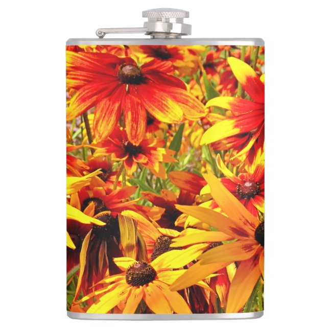 RUDBECKIA-BLUME FLACHMANN (Vorderseite)