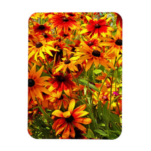 RUDBECKIA-BLUME MAGNET