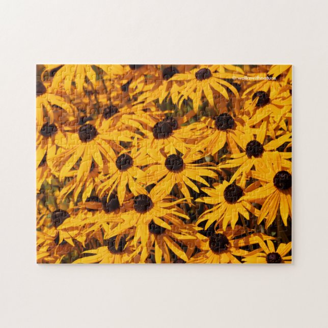 Rudbeckia Fulgida / Orangenblume (Horizontal)