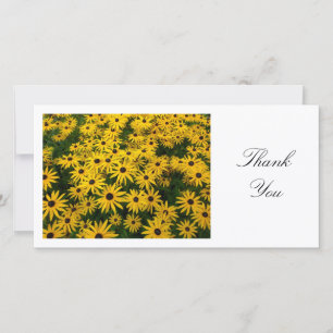 Rudbeckia Hirta (Schwarz-mit Augen Susans) - Viele Dankeskarte