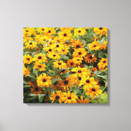Rudbeckias / Ein Bett von Schwarz-Mit Augen Susans Leinwanddruck
