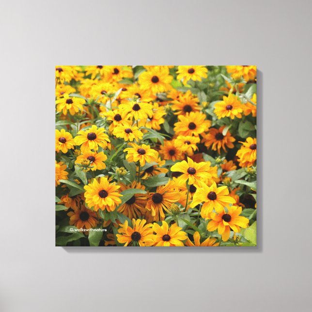 Rudbeckias / Ein Bett von Schwarz-Mit Augen Susans Leinwanddruck (Vorderseite)