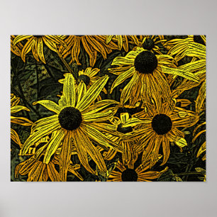 RUDBECKIAS POSTER