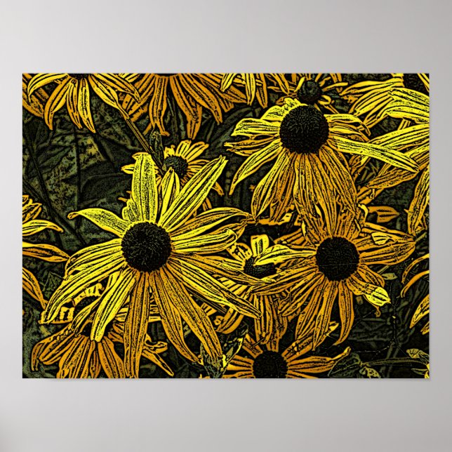 RUDBECKIAS POSTER (Vorne)