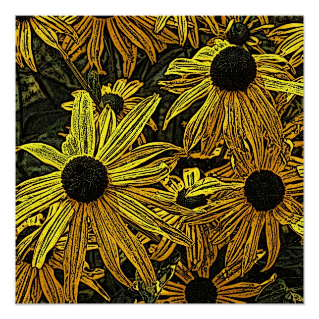RUDBECKIAS POSTER (Vorderseite)