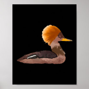 Ruddy Duck Sticker Poster