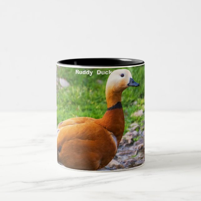 Ruddy Duck Zweifarbige Tasse (Mittel)