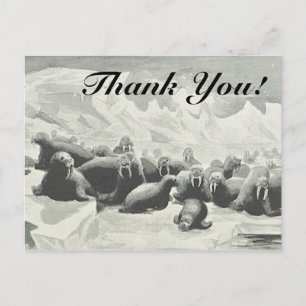 Rudel von Walrossen "Danke!" Postkarte