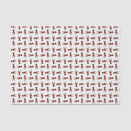 Rudolph, Seidenpapier