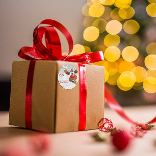 Rudolph Weihnachtsbaumschnee Runder Aufkleber