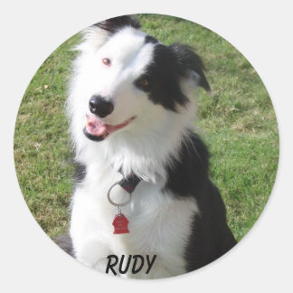 RUDY RUNDER AUFKLEBER