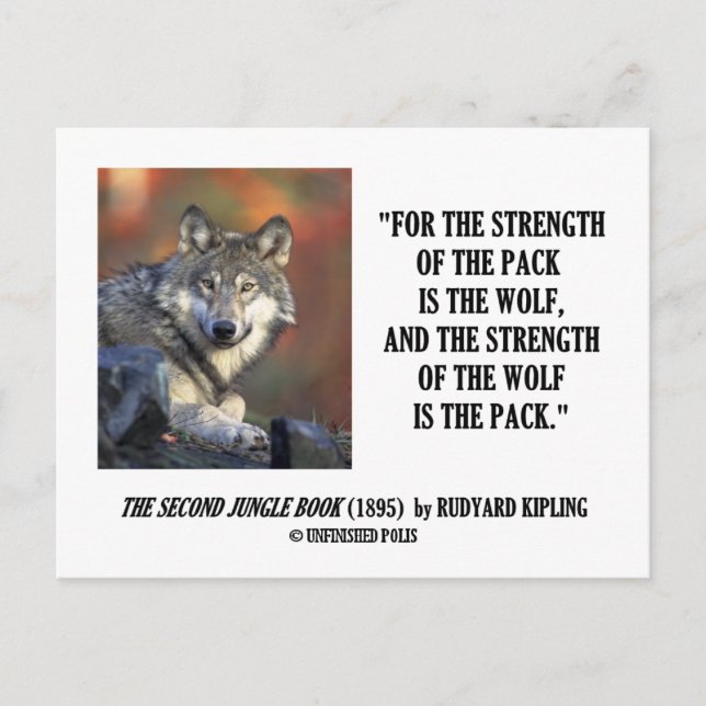 Rudyard Kipling Stärke des Pack Wolf Zitats Postkarte (Vorderseite)